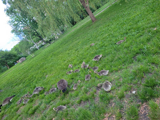 Science Museum «Museum of Science», reviews and photos, 1 Science Park, Boston, MA 02114, USA