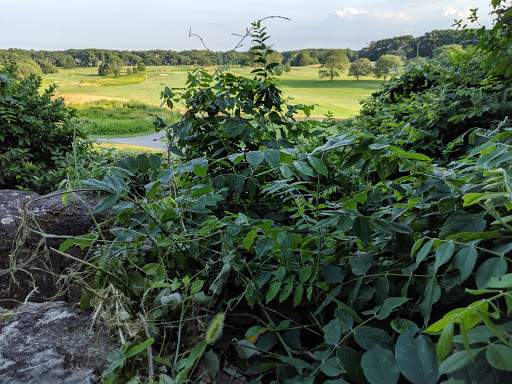 Golf Course «William J. Devine Golf Course at Franklin Park», reviews and photos, 1 Circuit Dr, Dorchester, MA 02121, USA