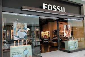 Fossil Store image