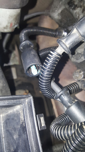 Auto Repair Shop «Meineke Car Care Center», reviews and photos, 6670 Camden Blvd, Fountain, CO 80817, USA