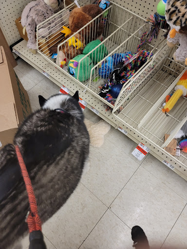 Pet Supply Store «Pet Supplies Plus», reviews and photos, 508 E Stroop Rd, Kettering, OH 45429, USA