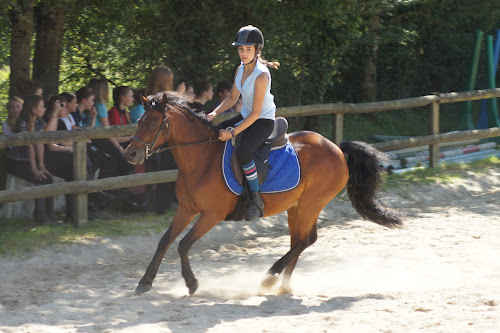 Centre équestre Poney Club Gué de Selle Mézangers