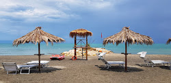 Foto di Lido Il Fenicottero Rosa Beach con costa lunga e dritta
