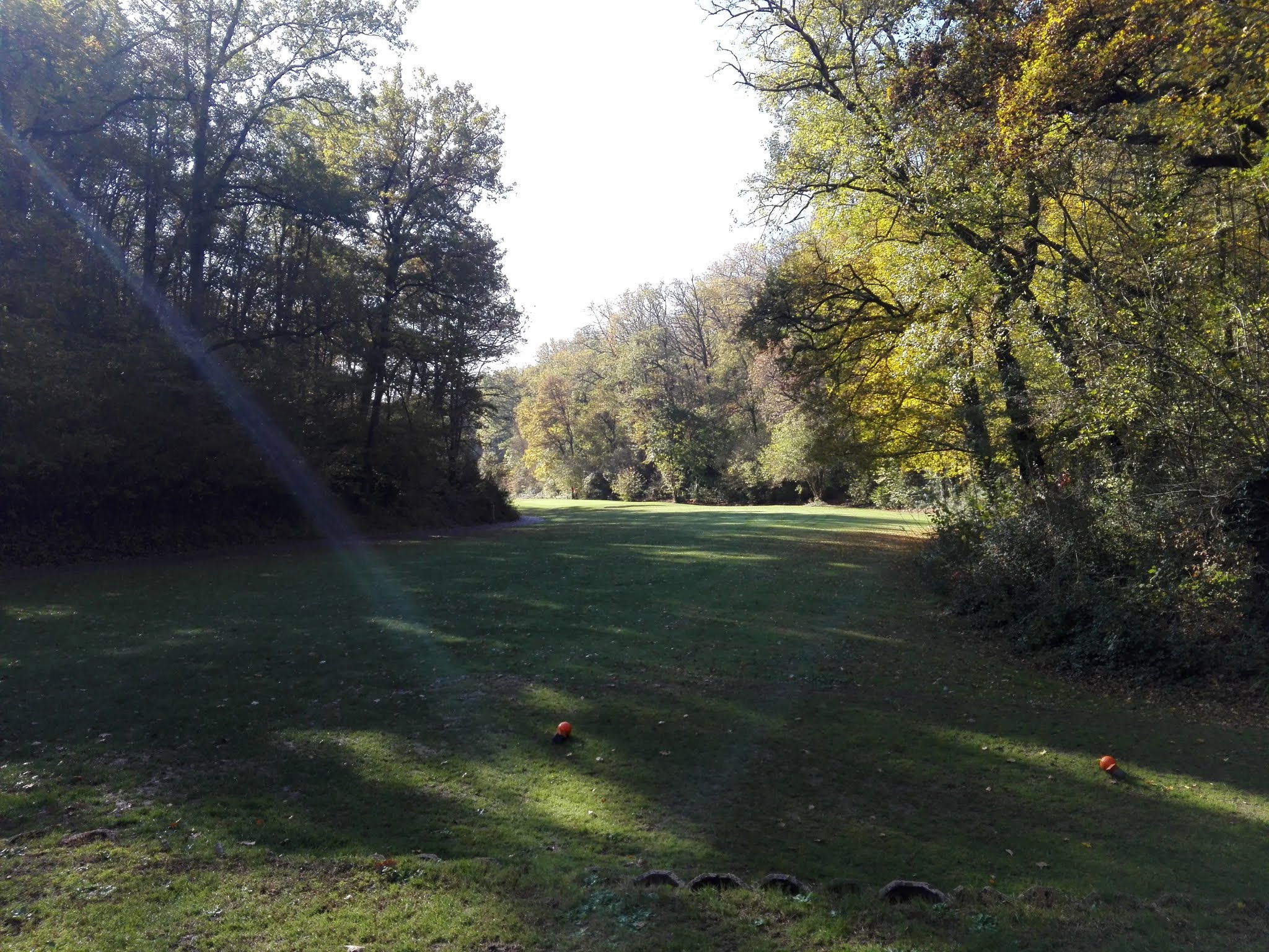 Photo n° 3 de l'avis de Xavier.o fait le 28/11/2018 à 20:36