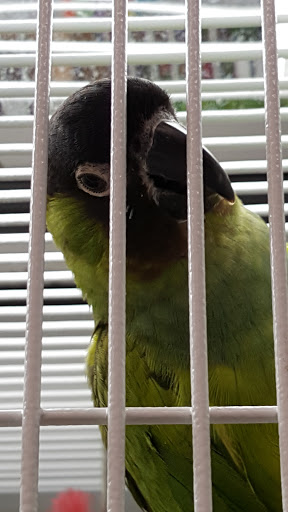 Pet Supply Store «Pet Supplies Plus», reviews and photos, 531 Monroe Ave, Rochester, NY 14607, USA