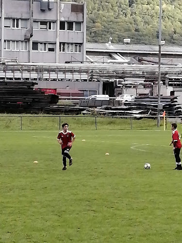 Rezensionen über FC Evionnaz-Collonges in Sitten - Sportstätte