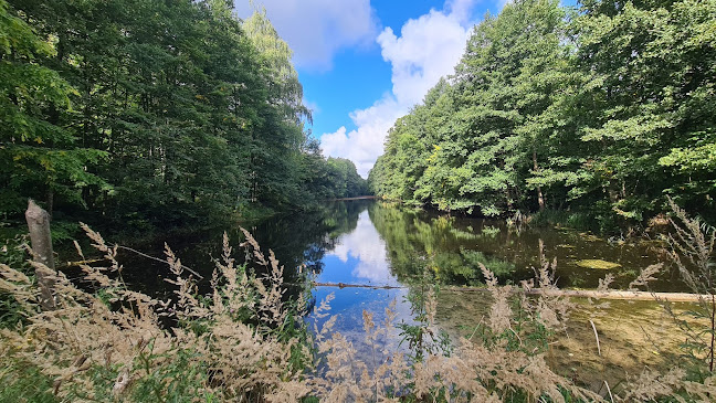 Comentarii opinii despre Kanał Mazurski