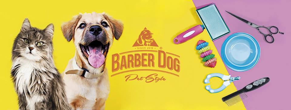 Barber Dog - Pio x
