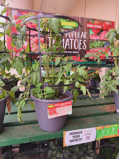 The Home Depot image
