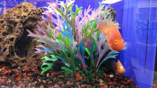 Pet Supply Store «Paws & Claws & Co», reviews and photos, 1801 E Market St, Warsaw, IN 46580, USA