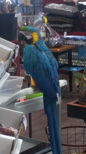 Pet Supply Store «At Your Services Pet Supplies», reviews and photos, 55 S Valle Verde Dr #300, Henderson, NV 89012, USA