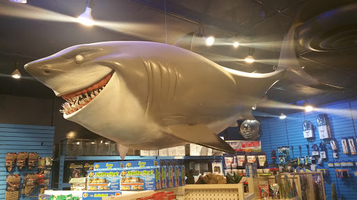 Pet Store «Pet Kingdom», reviews and photos, 4650 S Cleveland Ave, Fort Myers, FL 33907, USA