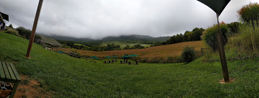 Vineyard «Glen Manor Vineyards», reviews and photos, 2244 Browntown Rd, Front Royal, VA 22630, USA