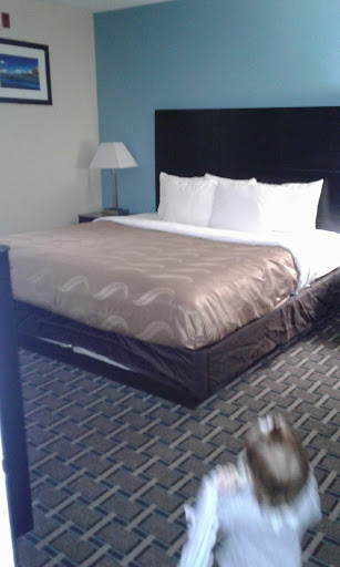 Hotel «Quality Inn & Suites West Waterpark», reviews and photos, 317 N Cedar Bluff Rd, Knoxville, TN 37923, USA