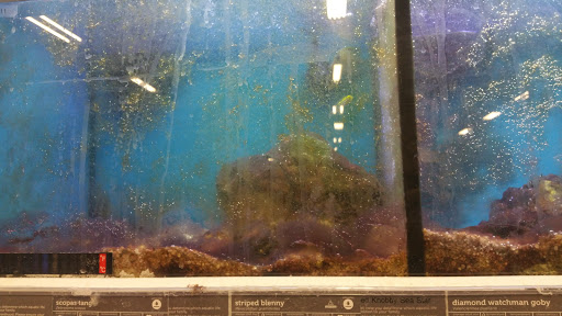 Pet Supply Store «Petco Animal Supplies», reviews and photos, 3731 Gateway Dr, Eau Claire, WI 54701, USA