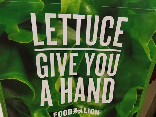 Grocery Store «Food Lion», reviews and photos, 558 W Main St, Stanley, VA 22851, USA