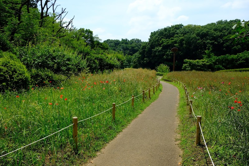 茨城県自然博物館 夢の広場