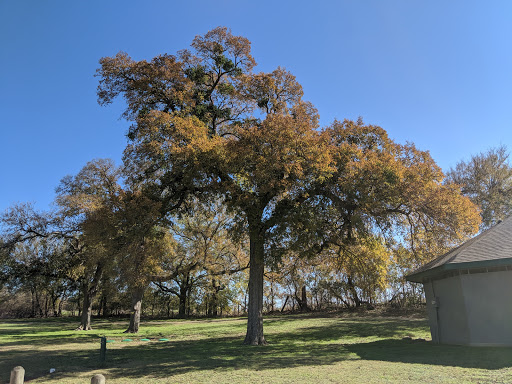 Park «Getzendaner Park», reviews and photos, 400 S Grand Ave, Waxahachie, TX 75165, USA