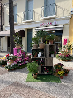 Rosae à Hyères