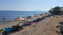 Gargara Kamp beach'in fotoğrafı düz ve uzun ile birlikte