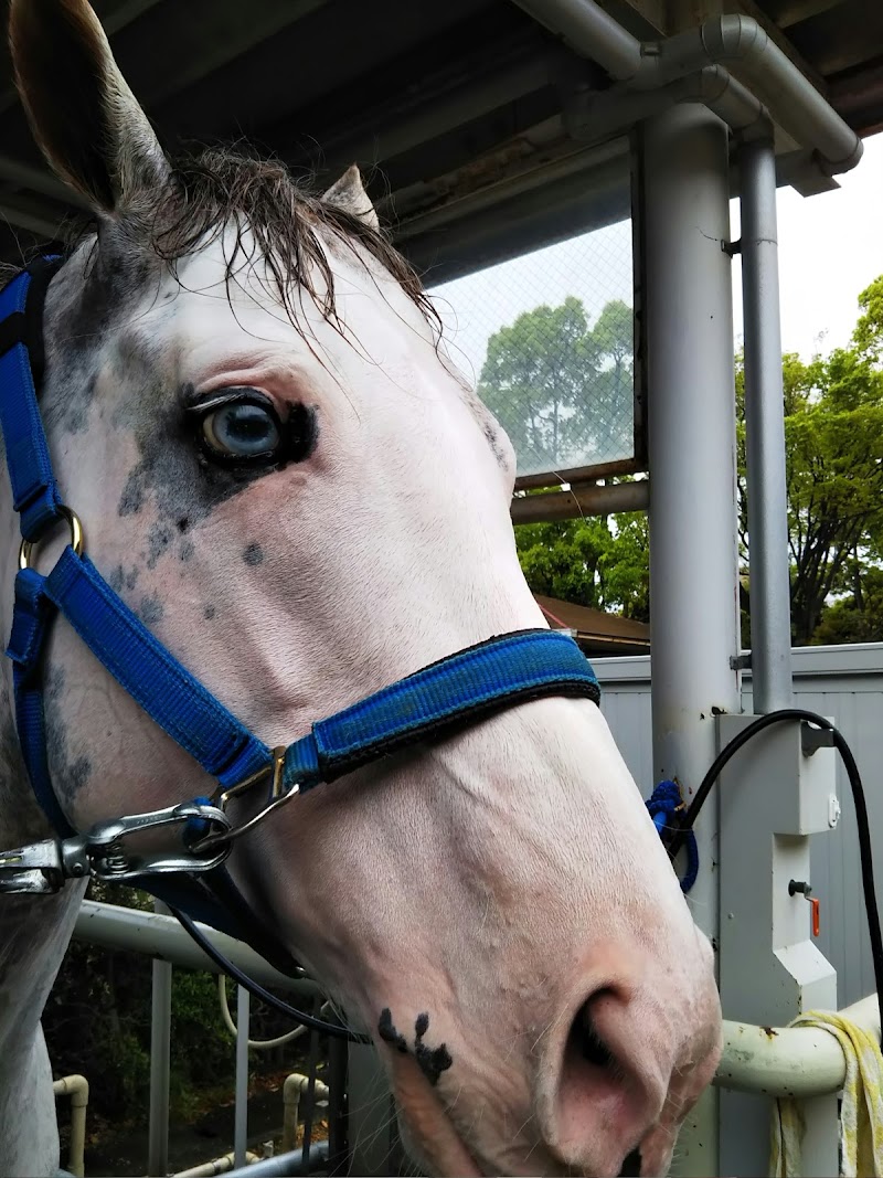 競馬場公園 東京都府中市是政 公園 公園 グルコミ
