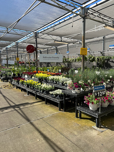 Department Store «Walmart Supercenter», reviews and photos, 8701 U.S. 19, Port Richey, FL 34668, USA