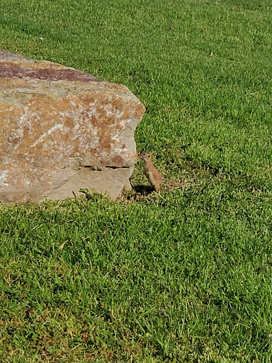 Park «Blackie Chesher Park», reviews and photos, 1100 N Zaragoza Rd, El Paso, TX 79907, USA