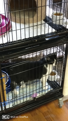 Pet Store «Pet Valu», reviews and photos, 773 Huntingdon Pike, Huntingdon Valley, PA 19006, USA