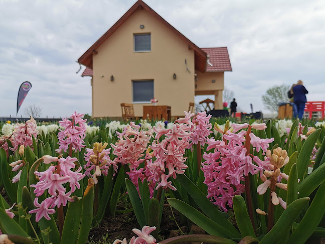 TulipGarden Tisza-tó - Kertészkedő