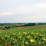 Photo n°4 de l'avis de CAROLINA.O fait le 04/08/2020 à 20:46 sur le  Osteria delle Zucche Vuote à Quargnento