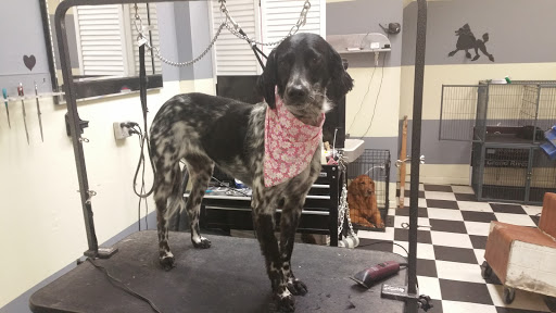 Pet Groomer «Ufuri Pet Salon», reviews and photos, 235 Huron Ave, Port Huron, MI 48060, USA