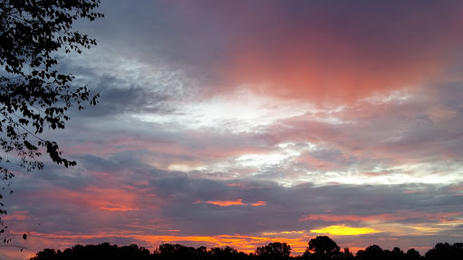 Book Store «Baker & Taylor», reviews and photos, 251 Mt Olive Church Rd, Commerce, GA 30599, USA