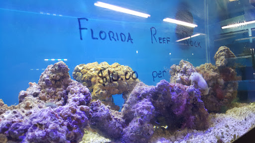 Tropical Fish Store «Oceanside Aquariums», reviews and photos, 2176 N Mt Juliet Rd #105, Mt Juliet, TN 37122, USA