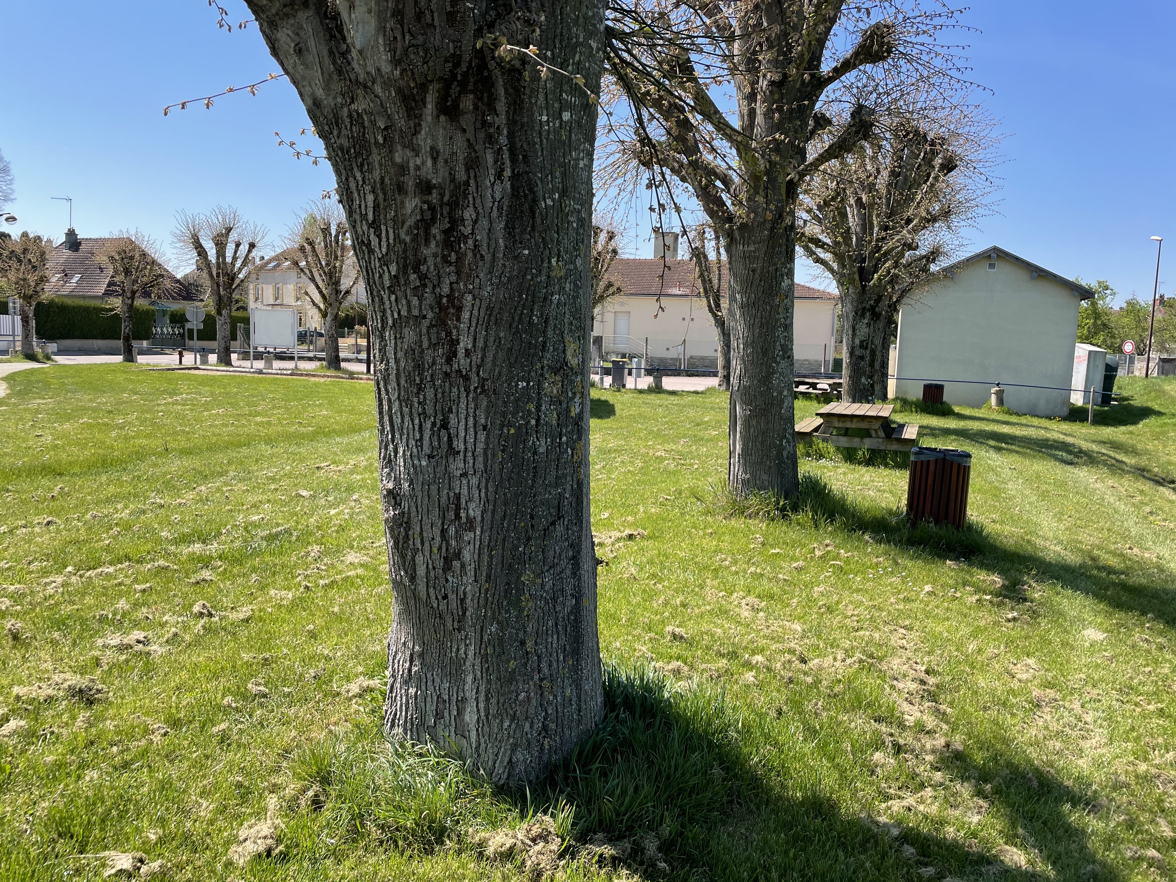 Photo n° 2 de l'avis de Didier.r fait le 27/04/2021 à 11:27