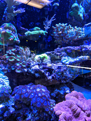 Pet Store «Fin-N-Feather», reviews and photos, 2931 F St, Eureka, CA 95501, USA