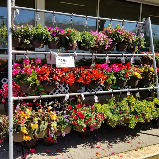 Supermarket «Super Stop & Shop», reviews and photos, 8101 Jericho Turnpike #0511, Woodbury, NY 11797, USA