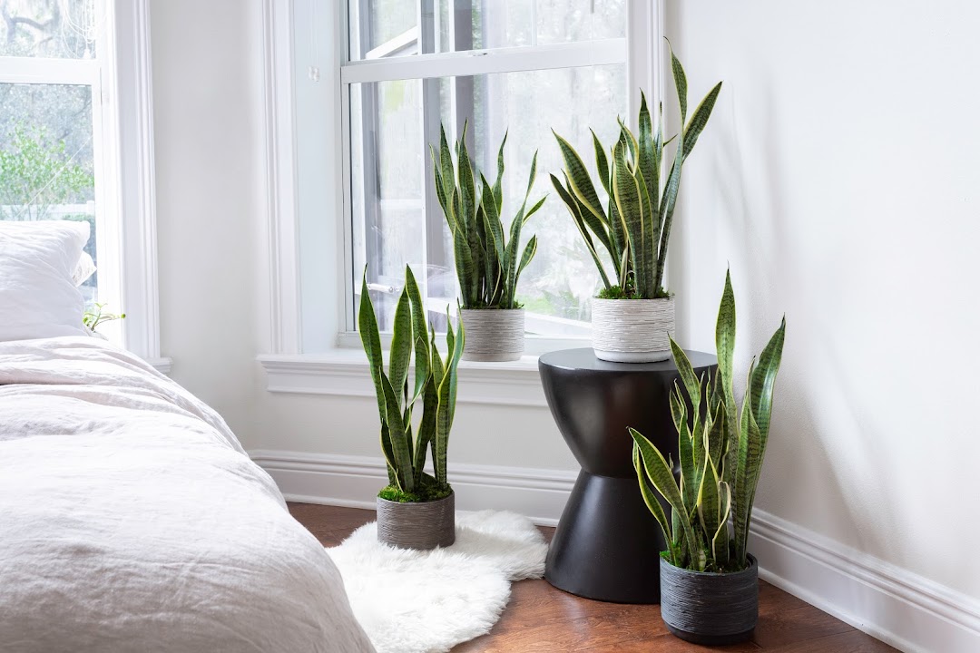 LiveTrends Design Group, LLC