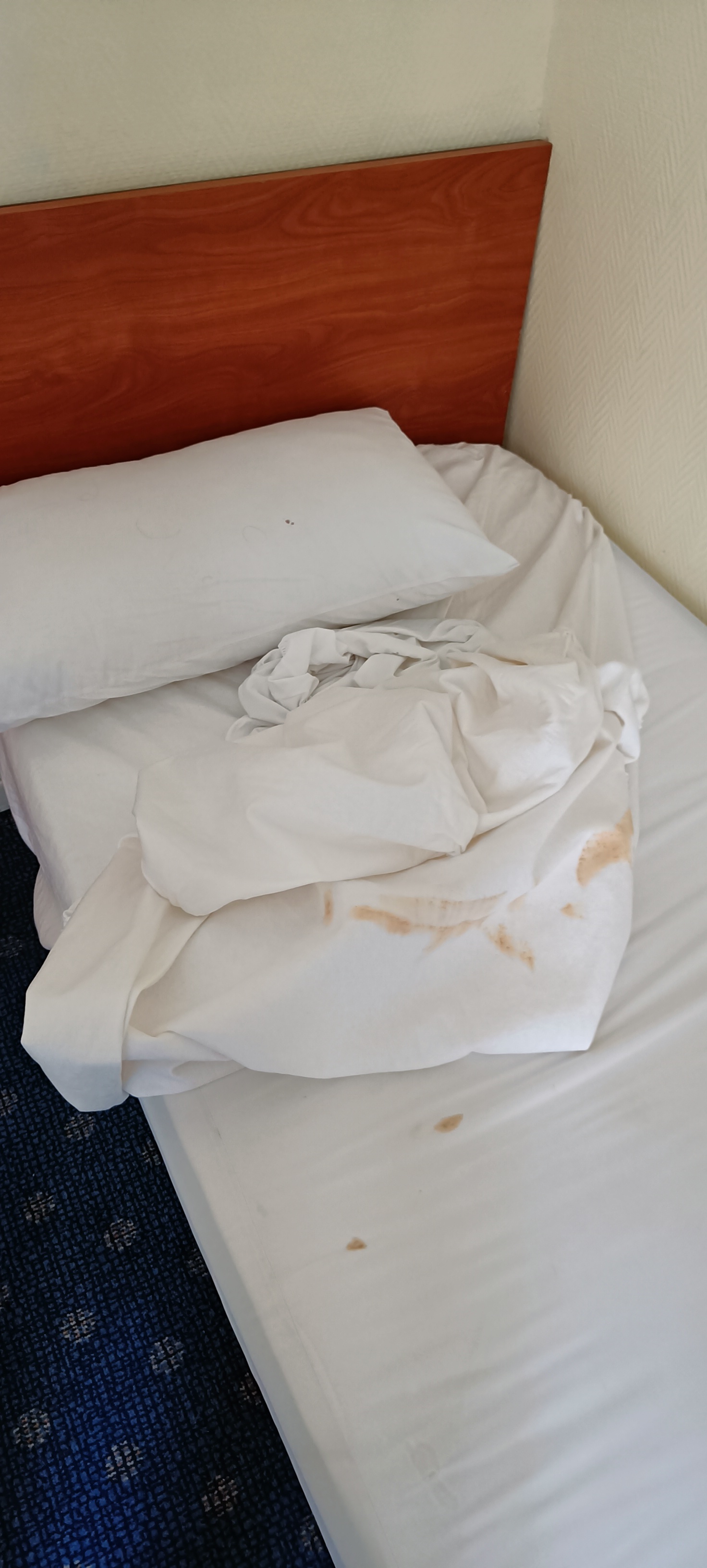 Photo n° 1 de l'avis de Nihil.i fait le 18/08/2022 à 15:47