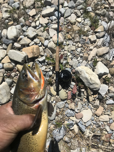 Gun Shop «Wyoming Guns», reviews and photos, 5987 S Suncoast Blvd, Homosassa, FL 34446, USA