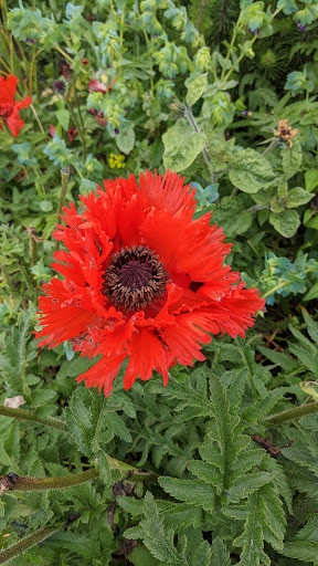 Quilt Shop «center diamond», reviews and photos, 1065 S Hemlock St, Cannon Beach, OR 97110, USA