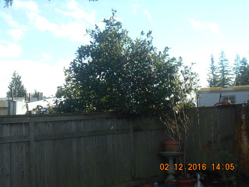 Thrift Store «72nd Street Goodwill», reviews and photos, 1415 E 72nd St, Tacoma, WA 98404, USA