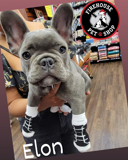 Pet Store «Firehouse Pet Shop & Grooming», reviews and photos, 17 S Wenatchee Ave, Wenatchee, WA 98801, USA