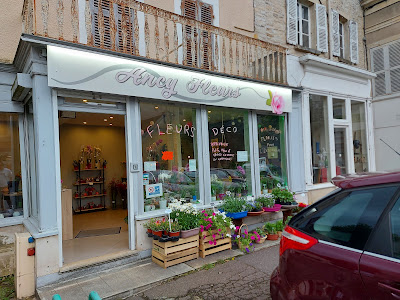 Ancy Fleurs à Ancy-le-Franc