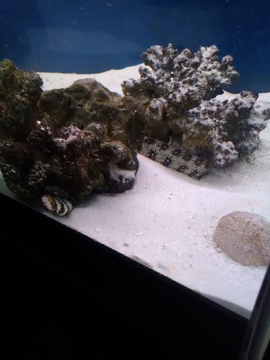 Pet Store «Pet Haven Pet Shop», reviews and photos, 19 US-6, Valparaiso, IN 46385, USA