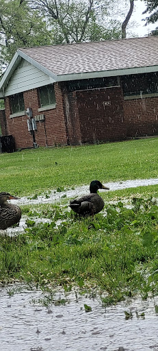 Park «Croton Point Park», reviews and photos, 1 Croton Point Ave, Croton-On-Hudson, NY 10520, USA