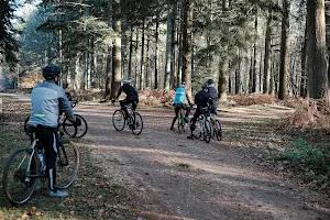 New Forest Cycling - Burley image