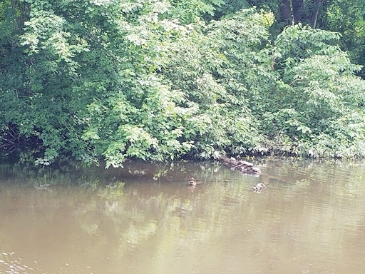 Country Club «Great Gorge Golf Course», reviews and photos, 414 County Road 517, Vernon Township, NJ 07462, USA