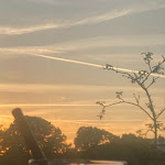 Photo n°1 de l'avis de Manfred.e fait le 02/05/2023 à 17:02 sur le  Restaurant Herberts à Rostock