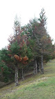 Cap Découverte Parc anciennes mines Le Garric