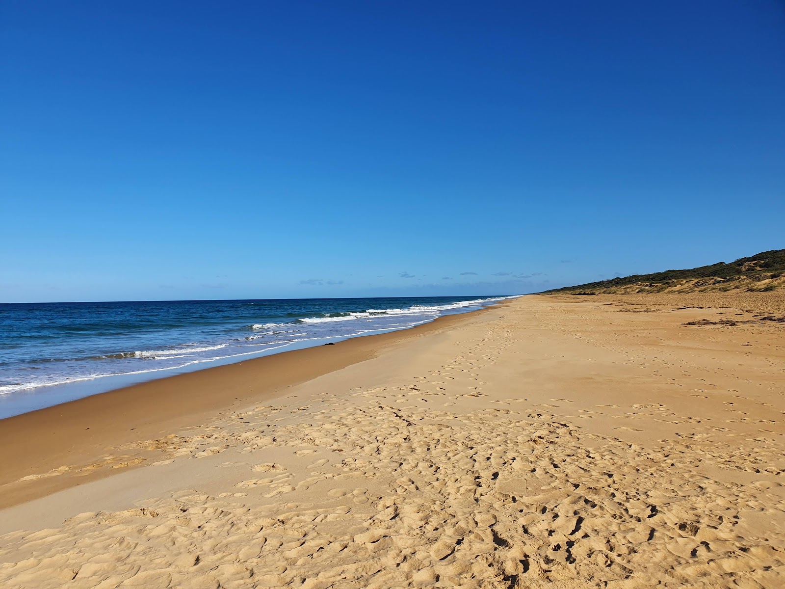 Zdjęcie Ninety Mile Beach z powierzchnią drobny beżowy piasek